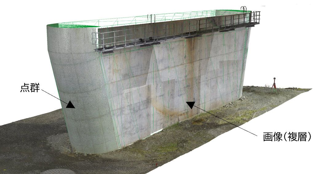 画像1_202507081100