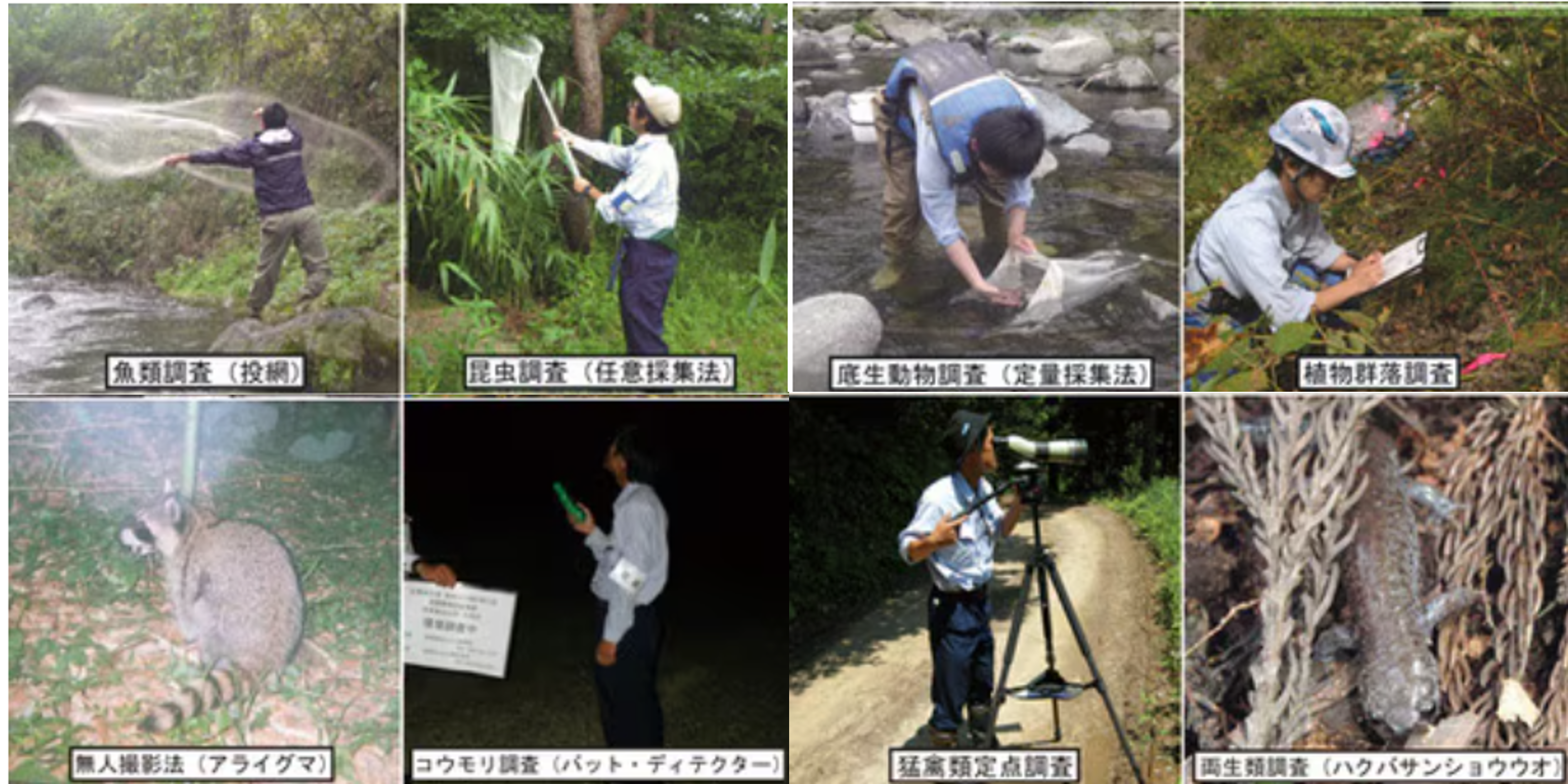 画像1_202510301256